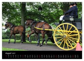 CIAT - Historischer Fahrsport in Celle (Wandkalender 2027 DIN A3 quer), CALVENDO Monatskalender