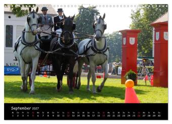 CIAT - Historischer Fahrsport in Celle (Wandkalender 2027 DIN A3 quer), CALVENDO Monatskalender
