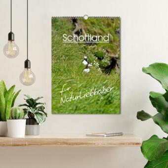 Schottland für Naturliebhaber (Wandkalender 2027 DIN A3 hoch), CALVENDO Monatskalender