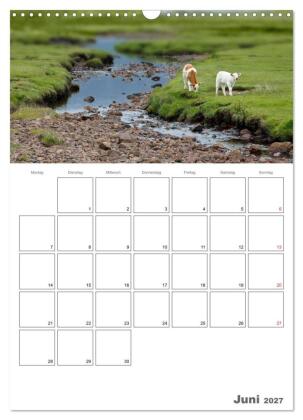 Schottland für Naturliebhaber (Wandkalender 2027 DIN A3 hoch), CALVENDO Monatskalender