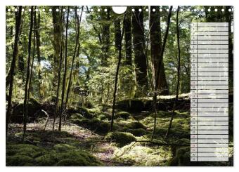 Kia ora, Aotearoa - Wunderbares Neuseeland (Wandkalender 2027 DIN A4 quer), CALVENDO Monatskalender