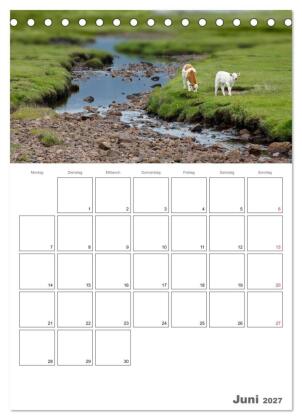 Schottland für Naturliebhaber (Tischkalender 2027 DIN A5 hoch), CALVENDO Monatskalender
