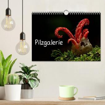 Pilzgalerie (Wandkalender 2027 DIN A4 quer), CALVENDO Monatskalender