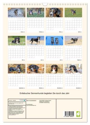 Entlebucher Sennenhunde begleiten Sie durch das Jahr (Wandkalender 2027 DIN A3 hoch), CALVENDO Monatskalender