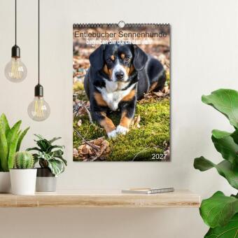 Entlebucher Sennenhunde begleiten Sie durch das Jahr (Wandkalender 2027 DIN A3 hoch), CALVENDO Monatskalender