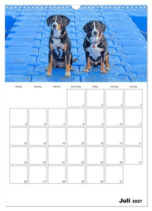 Entlebucher Sennenhunde begleiten Sie durch das Jahr (Wandkalender 2027 DIN A3 hoch), CALVENDO Monatskalender