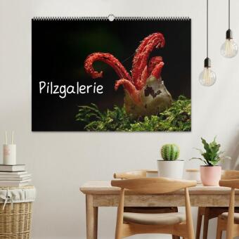 Pilzgalerie (Wandkalender 2027 DIN A2 quer), CALVENDO Monatskalender