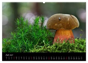 Pilzgalerie (Wandkalender 2027 DIN A2 quer), CALVENDO Monatskalender