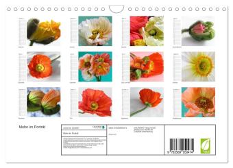 Mohn im Porträt (Wandkalender 2027 DIN A4 quer), CALVENDO Monatskalender