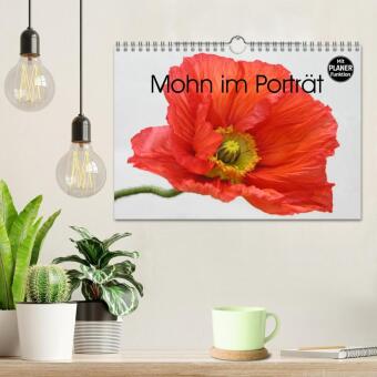 Mohn im Porträt (Wandkalender 2027 DIN A4 quer), CALVENDO Monatskalender