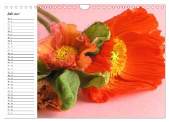 Mohn im Porträt (Wandkalender 2027 DIN A4 quer), CALVENDO Monatskalender