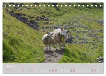 Ganz schön Schaf (Tischkalender 2027 DIN A5 quer), CALVENDO Monatskalender