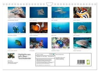 Highlights aus dem Meer - Tauchkalender (Wandkalender 2027 DIN A4 quer), CALVENDO Monatskalender