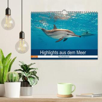 Highlights aus dem Meer - Tauchkalender (Wandkalender 2027 DIN A4 quer), CALVENDO Monatskalender