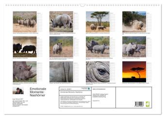 Emotionale Momente: Nashörner (Wandkalender 2027 DIN A2 quer), CALVENDO Monatskalender