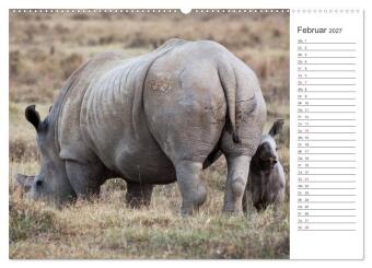 Emotionale Momente: Nashörner (Wandkalender 2027 DIN A2 quer), CALVENDO Monatskalender