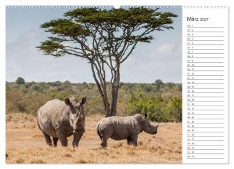 Emotionale Momente: Nashörner (Wandkalender 2027 DIN A2 quer), CALVENDO Monatskalender