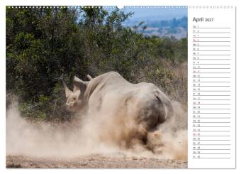 Emotionale Momente: Nashörner (Wandkalender 2027 DIN A2 quer), CALVENDO Monatskalender