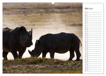 Emotionale Momente: Nashörner (Wandkalender 2027 DIN A2 quer), CALVENDO Monatskalender