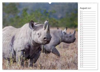 Emotionale Momente: Nashörner (Wandkalender 2027 DIN A2 quer), CALVENDO Monatskalender