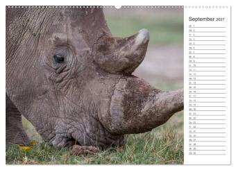 Emotionale Momente: Nashörner (Wandkalender 2027 DIN A2 quer), CALVENDO Monatskalender