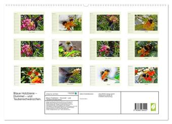 Blaue Holzbiene - Hummel - und Taubenschwänzchen. (hochwertiger Premium Wandkalender 2027 DIN A2 quer), Kunstdruck in Hochglanz