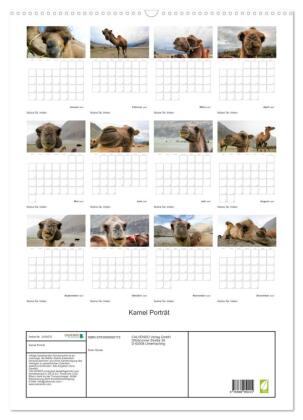 Kamel Porträt (Wandkalender 2027 DIN A2 hoch), CALVENDO Monatskalender