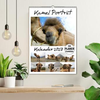 Kamel Porträt (Wandkalender 2027 DIN A2 hoch), CALVENDO Monatskalender