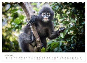 SÜDOSTASIEN (hochwertiger Premium Wandkalender 2027 DIN A2 quer), Kunstdruck in Hochglanz