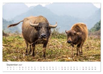 SÜDOSTASIEN (hochwertiger Premium Wandkalender 2027 DIN A2 quer), Kunstdruck in Hochglanz