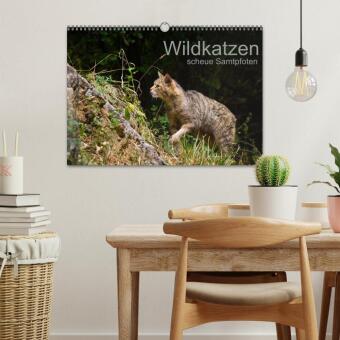 Wildkatzen - scheue Samtpfoten (Wandkalender 2027 DIN A3 quer), CALVENDO Monatskalender