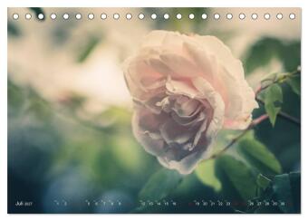 Die Welt der Alten Rosen (Tischkalender 2027 DIN A5 quer), CALVENDO Monatskalender