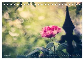 Die Welt der Alten Rosen (Tischkalender 2027 DIN A5 quer), CALVENDO Monatskalender