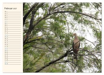Mauritius - traumhaft und unvergesslich (hochwertiger Premium Wandkalender 2027 DIN A2 quer), Kunstdruck in Hochglanz