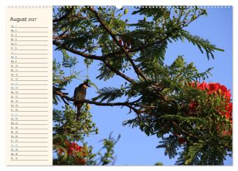 Mauritius - traumhaft und unvergesslich (hochwertiger Premium Wandkalender 2027 DIN A2 quer), Kunstdruck in Hochglanz