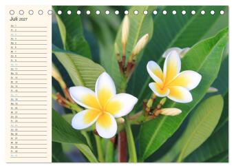 Mauritius - traumhaft und unvergesslich (Tischkalender 2027 DIN A5 quer), CALVENDO Monatskalender