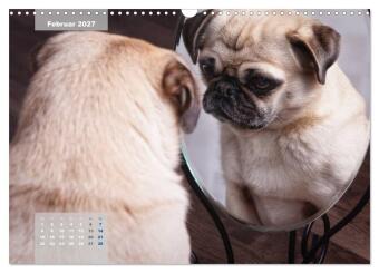 Lillie Mopsgetier - mopsfidel durchs Jahr (Wandkalender 2027 DIN A3 quer), CALVENDO Monatskalender