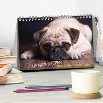 Lillie Mopsgetier - mopsfidel durchs Jahr (Tischkalender 2027 DIN A5 quer), CALVENDO Monatskalender