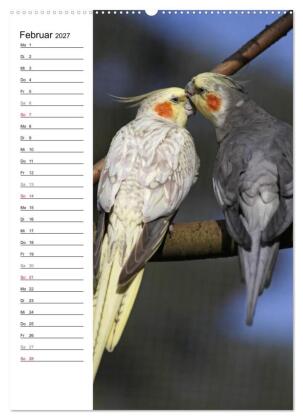 Der Nymphensittich-Terminplaner (hochwertiger Premium Wandkalender 2027 DIN A2 hoch), Kunstdruck in Hochglanz