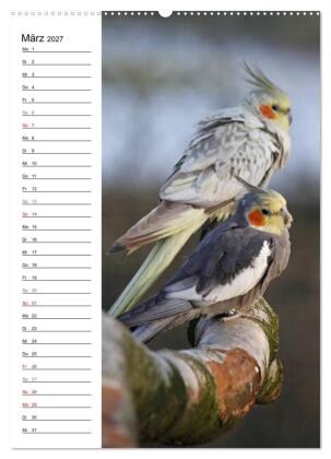 Der Nymphensittich-Terminplaner (hochwertiger Premium Wandkalender 2027 DIN A2 hoch), Kunstdruck in Hochglanz