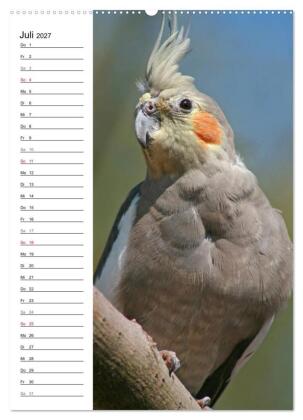 Der Nymphensittich-Terminplaner (hochwertiger Premium Wandkalender 2027 DIN A2 hoch), Kunstdruck in Hochglanz