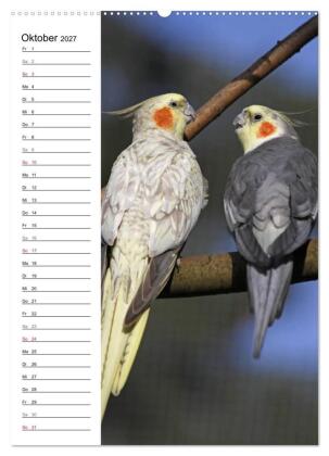 Der Nymphensittich-Terminplaner (hochwertiger Premium Wandkalender 2027 DIN A2 hoch), Kunstdruck in Hochglanz