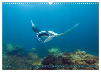 Tauchen, Fische und Meer (Wandkalender 2027 DIN A3 quer), CALVENDO Monatskalender