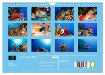 Farbenfrohes Meer (Wandkalender 2027 DIN A4 quer), CALVENDO Monatskalender
