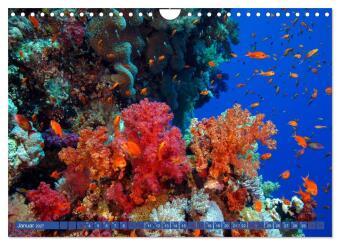 Farbenfrohes Meer (Wandkalender 2027 DIN A4 quer), CALVENDO Monatskalender