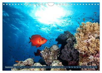 Farbenfrohes Meer (Wandkalender 2027 DIN A4 quer), CALVENDO Monatskalender