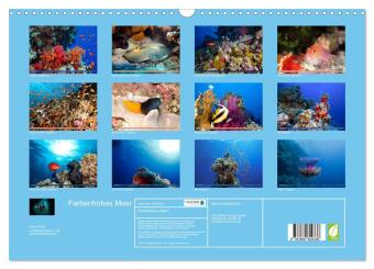 Farbenfrohes Meer (Wandkalender 2027 DIN A3 quer), CALVENDO Monatskalender