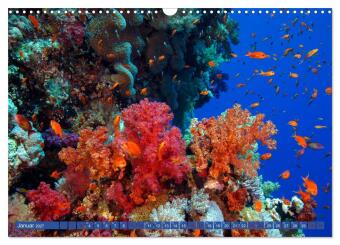 Farbenfrohes Meer (Wandkalender 2027 DIN A3 quer), CALVENDO Monatskalender