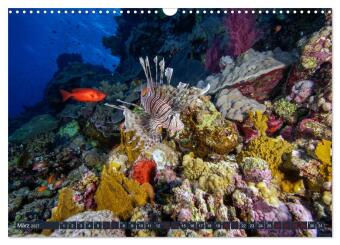 Farbenfrohes Meer (Wandkalender 2027 DIN A3 quer), CALVENDO Monatskalender