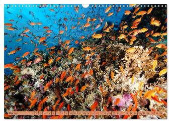 Farbenfrohes Meer (Wandkalender 2027 DIN A3 quer), CALVENDO Monatskalender